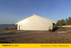 NOKE339 - zdjęcie nr 1