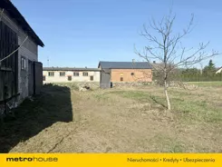 SOJODA577 - zdjęcie nr 1