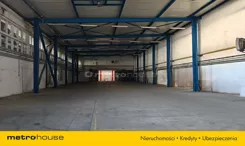 WOSOZE896 - zdjęcie nr 4