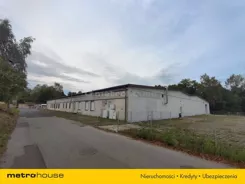 WOCOGU335 - zdjęcie nr 0