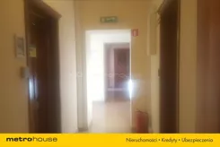 ZIPA979 - zdjęcie nr 5