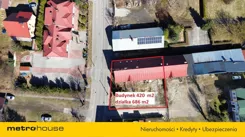 SOBAKY240 - zdjęcie nr 2