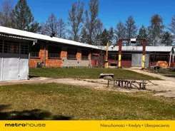 SOZUTE729 - zdjęcie nr 0