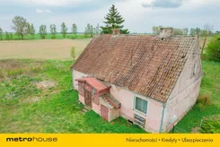 SOJIVE317 - zdjęcie nr 1