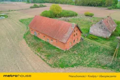 SOJIVE317 - zdjęcie nr 2