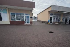 SLSAZO725 - zdjęcie nr 3