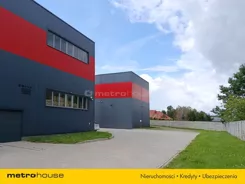 SOCOCY924 - zdjęcie nr 2
