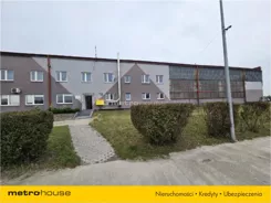 RADU463 - zdjęcie nr 1