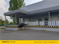 SAFU447 - zdjęcie nr 4