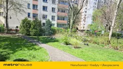 SMNAPO953 - zdjęcie nr 1