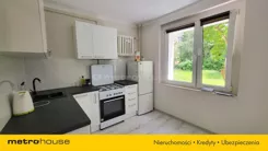 SMDOGY430 - zdjęcie nr 2