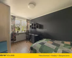 SMLALY501 - zdjęcie nr 2