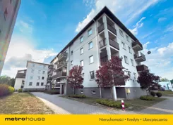 SMLALY501 - zdjęcie nr 4