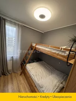 SMNOKI300 - zdjęcie nr 0