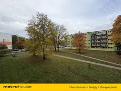 SMNIRI331 - zdjęcie nr 3