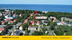 SMLICI579 - zdjęcie nr 3