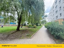 SMTONO843 - zdjęcie nr 0