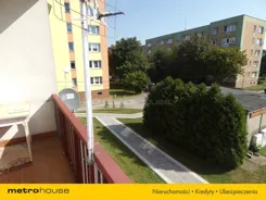 SMFEKI987 - zdjęcie nr 0