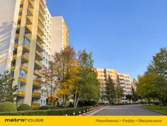 SMZEBO590 - zdjęcie nr 0