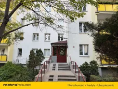 SMZEBO590 - zdjęcie nr 1