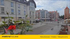 SMMAPE590 - zdjęcie nr 2