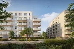 Skorosze Vita - zdjęcie nr 1
