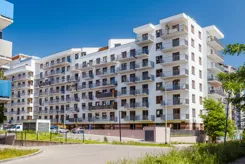Bochenka Vita - zdjęcie nr 0