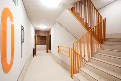 Traugutta Vita - zdjęcie nr 5