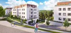 Sokółka Zielenisz - zdjęcie nr 5