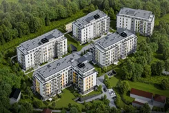 Zielone Południe  - zdjęcie nr 3
