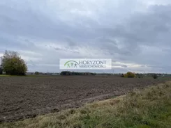 5526/260/OGS - zdjęcie nr 1