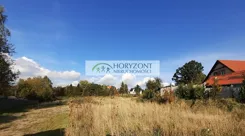 5541/260/OGS - zdjęcie nr 0