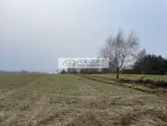 5527/260/OGS - zdjęcie nr 2