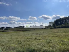 5568/260/OGS - zdjęcie nr 2