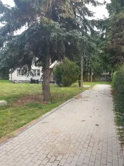 7855/2145/OGS - zdjęcie nr 2