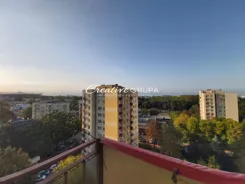 10444779 - zdjęcie nr 2