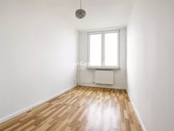 10444779 - zdjęcie nr 4