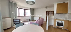 10427301 - zdjęcie nr 3
