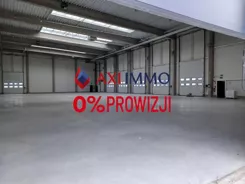 11576 - zdjęcie nr 1