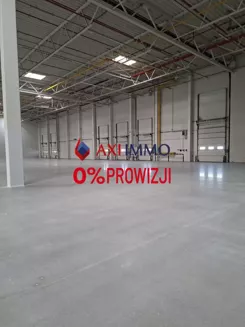 11612 - zdjęcie nr 2