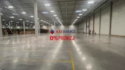 11347 - zdjęcie nr 2