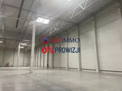 11131 - zdjęcie nr 1