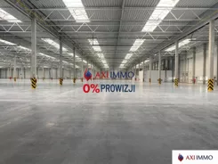 11373 - zdjęcie nr 2