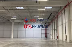 11119 - zdjęcie nr 1