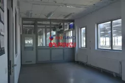 11112 - zdjęcie nr 1