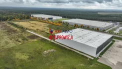 11439 - zdjęcie nr 3