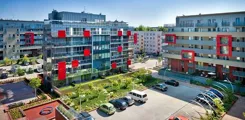 Kępa Staromiejska - zdjęcie nr 3