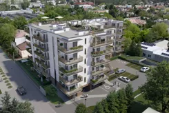 Goździków - zdjęcie nr 1