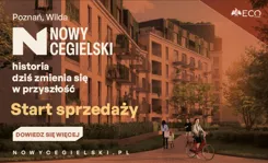 Nowy Cegielski - zdjęcie nr 1