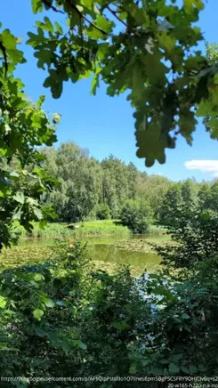 17995/3470/OGS - zdjęcie nr 2